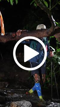 BIB:  <button type="button" onclick="openModal(27825023)" class="btn btn-primary btn-sm float-right" data-toggle="modal" data-target=".modal-high-quality">
                <i class="fa fa-download"></i> Download
                </button>